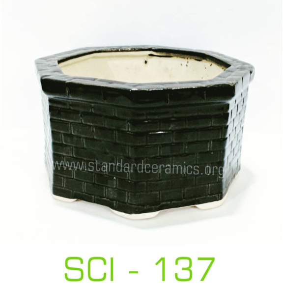 SCI - 137 - SCI - 137